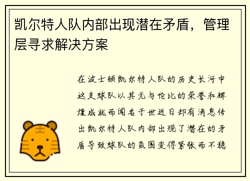 凯尔特人队内部出现潜在矛盾，管理层寻求解决方案
